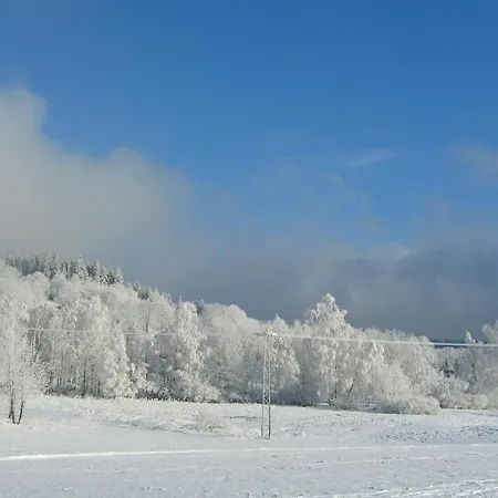 1256 * Kořenov