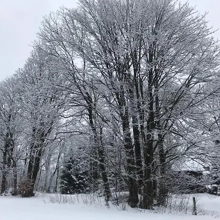 1256 * Kořenov