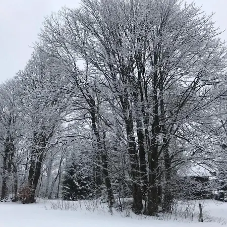1256 * Kořenov