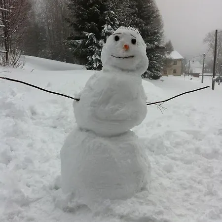 Chalet 1256