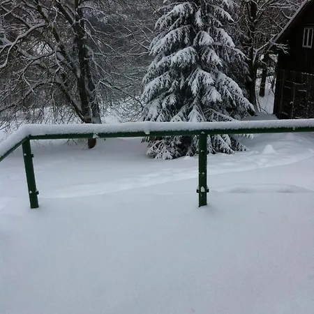 木屋 1256 Kořenov
