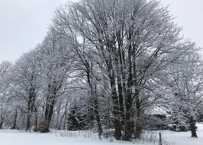 1256 * Korenov