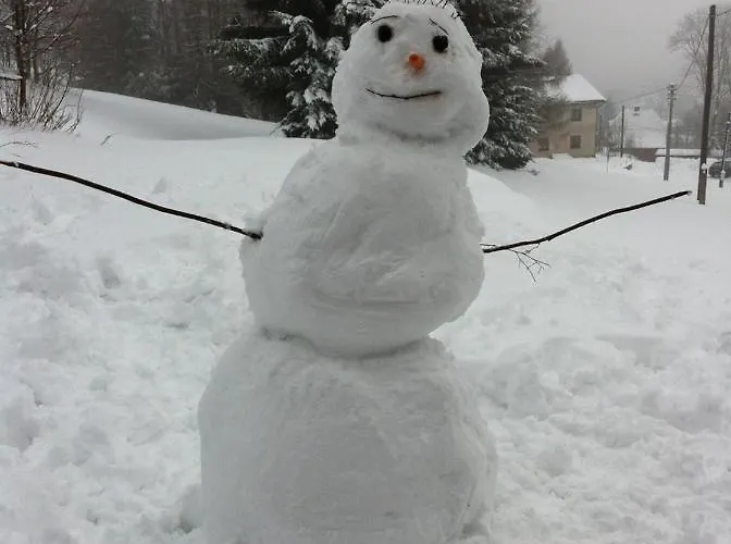 Chalet 1256